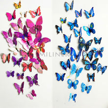 3D Butterfly wall decor